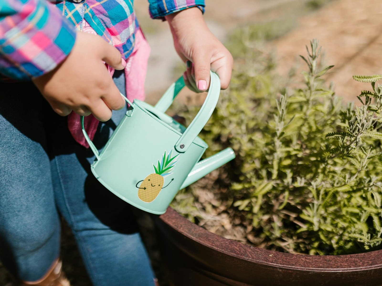 Watering a plant photo