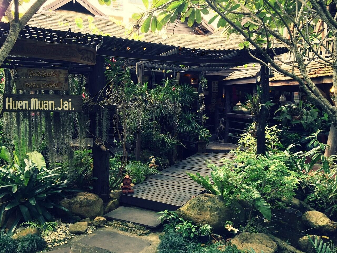 chiang mai, nature, thailand, restaurant, plants, garden, tropical